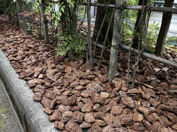 防草用バークチップ