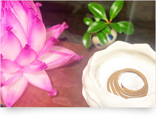 香司の手作りお香講座 蚊取り線香