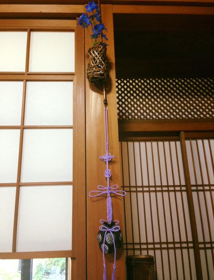 訶梨勒イメージ